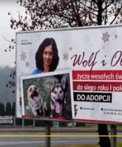 Mysłowice. Świąteczne życzenia ze specjalnym przekazem