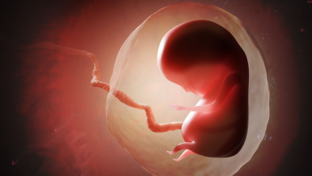 Pęcherzyk ciążowy