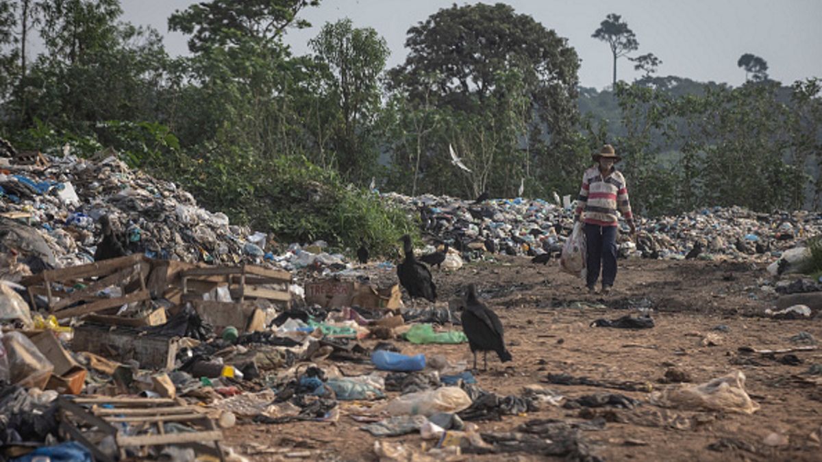 Od 15 lat amazoński las deszczowy jest dewastowany w niespotykanym wcześniej tempie