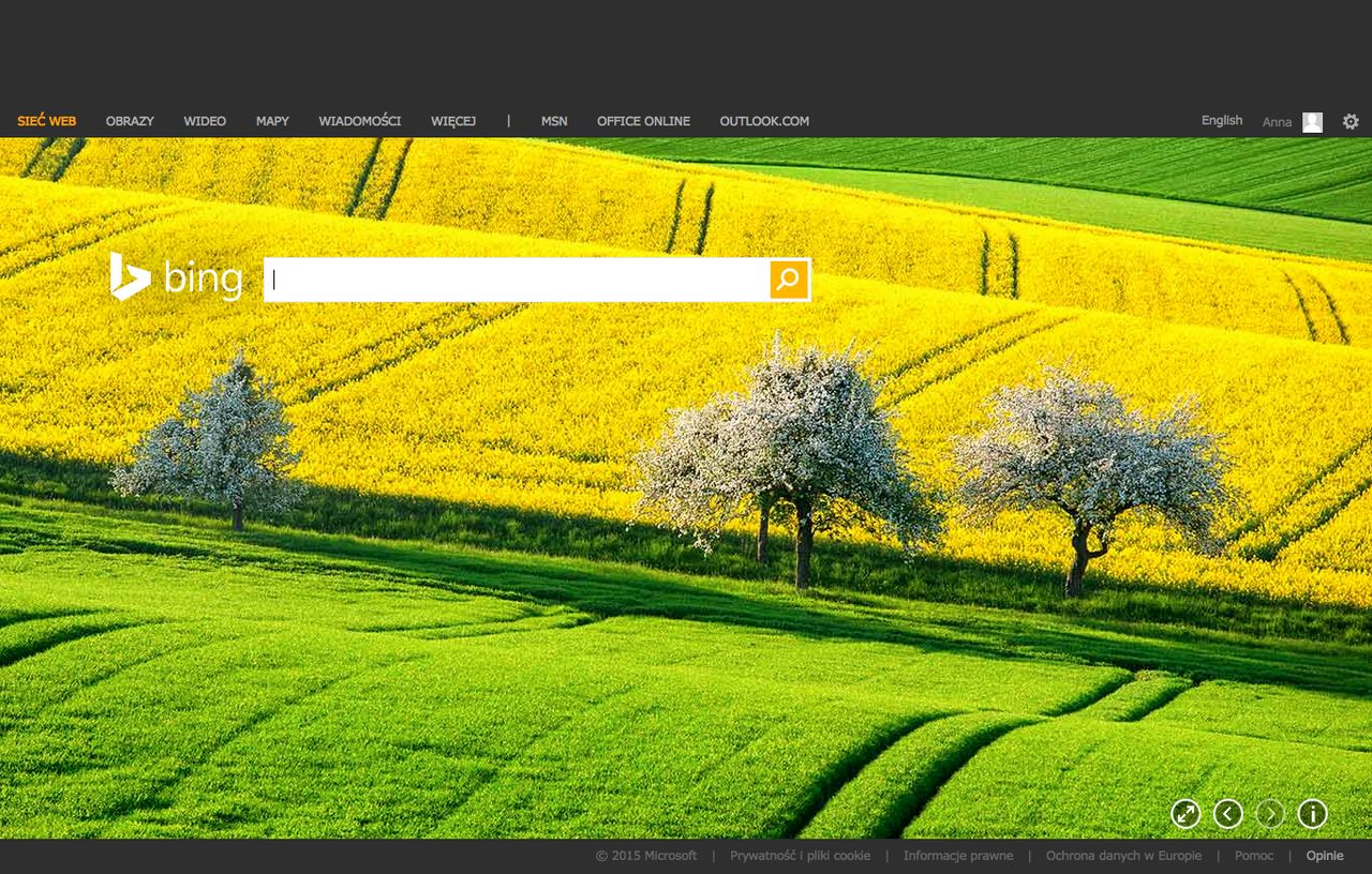 Bing pokaże prawa autorskie obrazów i pomoże zrobić zakupy