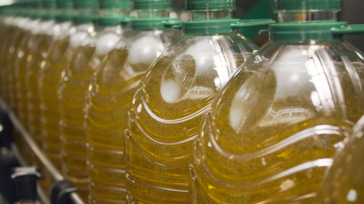 Olej słonecznikowy źle wpływa na stawy