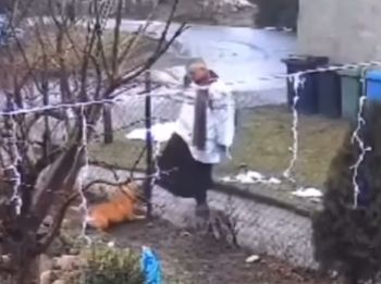 Ksiądz kopał psa. Skończył z niewielką grzywną