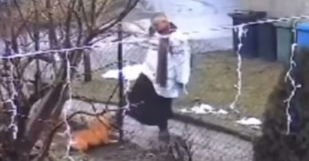 Ksiądz kopał psa. Skończył z niewielką grzywną
