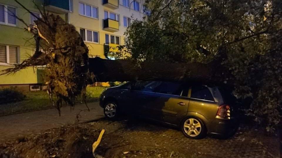 Opel przygnieciony przez drzewo na ul. Braci Wieniawskich