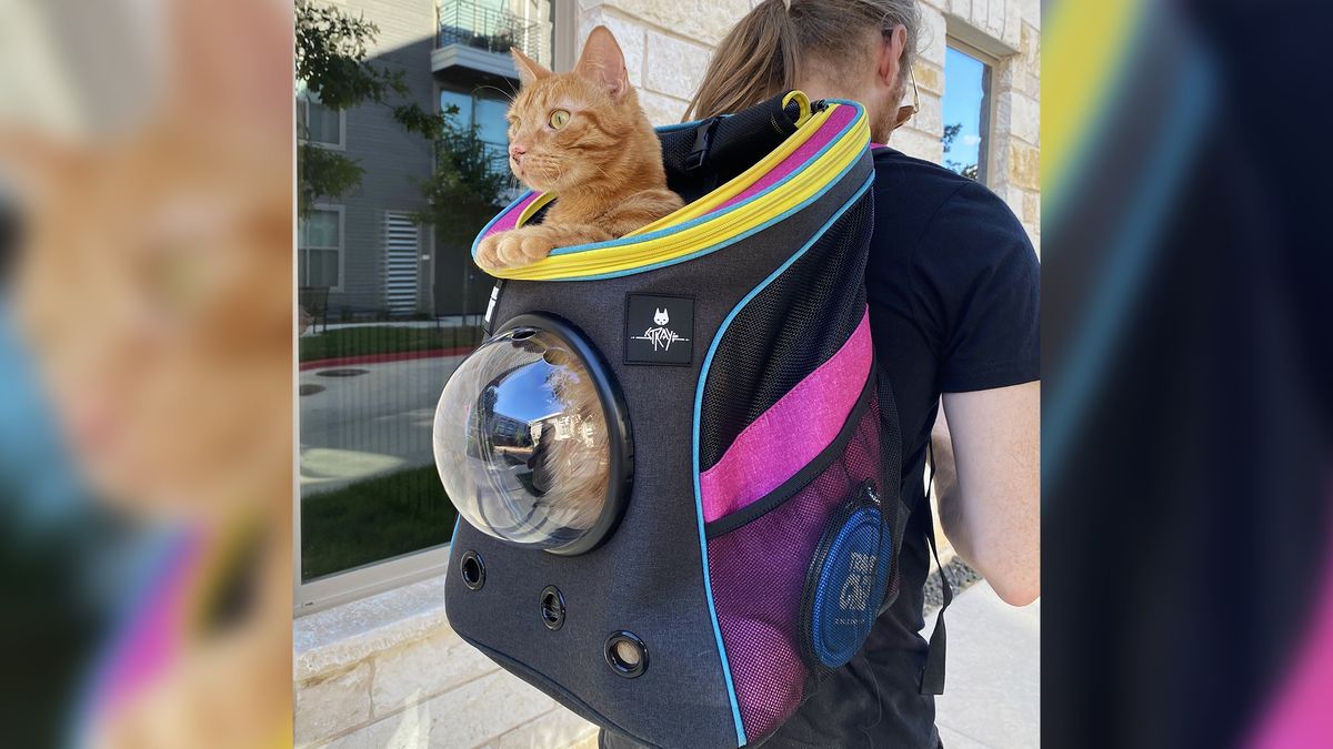 Gadżety do Stray są ciekawe, ale drogie.
