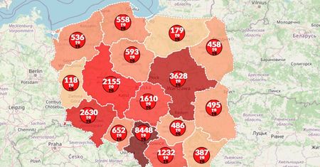 Koronawirus w Polsce. Mapa pokazuje prawie 25 tys. chorych. Na świecie COVID-19 też nie spowalnia