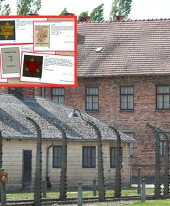 Skandal w Niemczech. Dom aukcyjny odpowiada w komunikacie