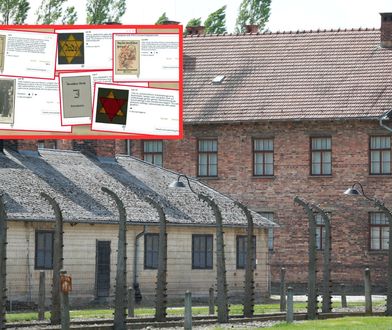 Skandal w Niemczech. Dom aukcyjny odpowiada w komunikacie