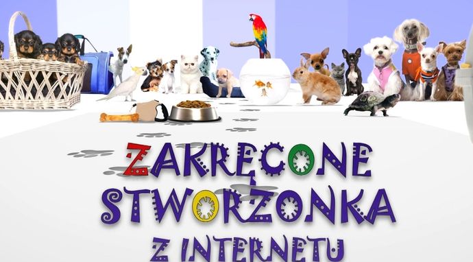 Zakręcone stworzonka z internetu 2