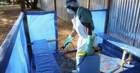 Wirus Ebola. Eksperci: Polsce i Europie epidemia raczej nie grozi