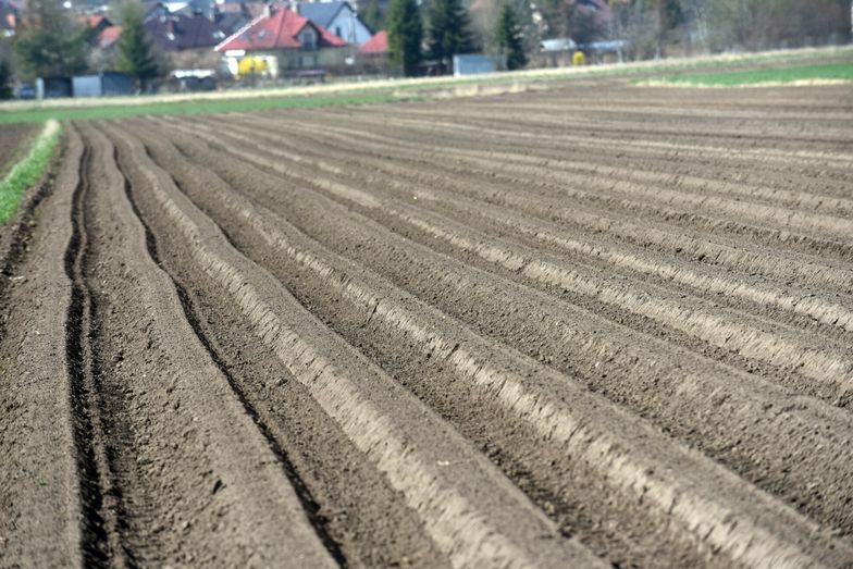 Żywność stanie się luksusowym towarem? Spełnia się najgorszy scenariusz