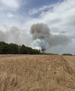 Kilka hektarów lasu w ogniu. Trwa akcja gaśnicza