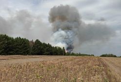 Kilka hektarów lasu w ogniu. Trwa akcja gaśnicza