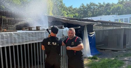 40-stopniowy upał. Strażacy pojechali do schroniska. Oto, co zrobili