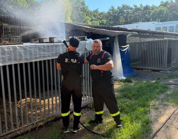 40-stopniowy upał. Strażacy pojechali do schroniska. Oto, co zrobili