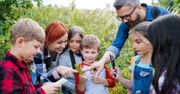 Szkolna przyroda po nowemu. Reforma MEN od 2026 roku