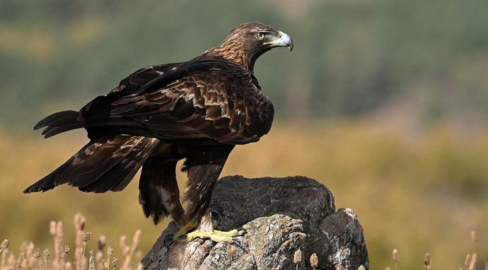Iberia - bezkresna natura