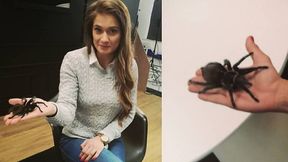 #dziejesiewsporcie: pokonała paniczny lęk. Kowalkiewicz i... wielki ptasznik!