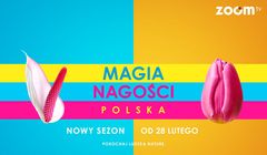 Grupa Kino Polska poszła w ślady Polsatu. Szereg wniosków do KRRiT