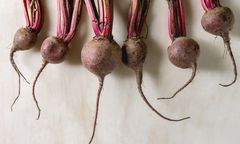 Lidl sprzeda "niedoskonałe buraki". Sieć pomogła polskiemu rolnikowi