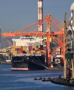 Badanie: Polska "kotwicą stabilności" w regionie