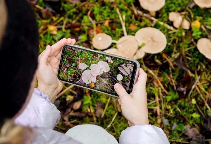 Zbierasz grzyby i pytasz AI? Lepiej uważaj