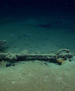 Niesamowite odkrycie na głębokości ponad 1,5 km. Leżał na dnie Zatoki Meksykańskiej