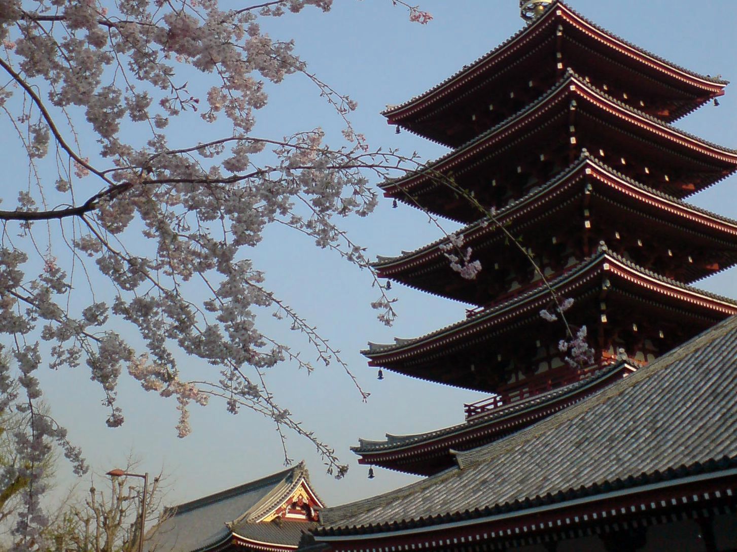 Xperia Z1 Compact vs stare sony ericssony - zaskakujące wyniki fotoporównania 33