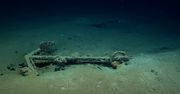 Niesamowite odkrycie na głębokości ponad 1,5 km. Leżał na dnie Zatoki Meksykańskiej