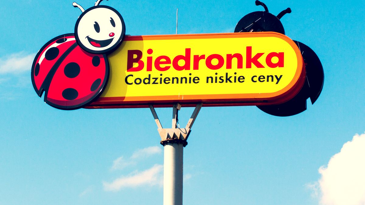 Muzyczna rewolucja: Biedronka zaczyna sprzedawać polskie nowości płytowe 1