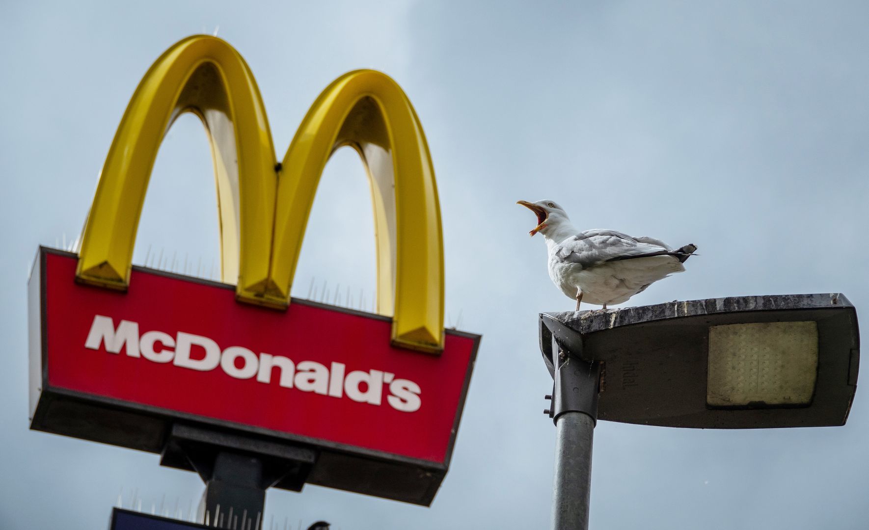 BRISTOL, UNITED KINGDOM - APRIL 28: A seagull calls as clouds form behind the Golden Arches logo of the fast food restaurant McDonald's, on April 28, 2024 in Bristol, England. Founded in 1940, American multinational fast food chain McDonald's Corporation, best known for its Big Mac hamburgers, cheeseburgers and french fries, is the world's largest fast food restaurant chain.  (Photo by Matt Cardy/Getty Images)