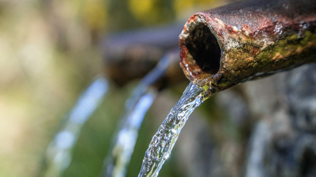Polacy szukają źródełek, które pomogą im pokonać różne schorzenia