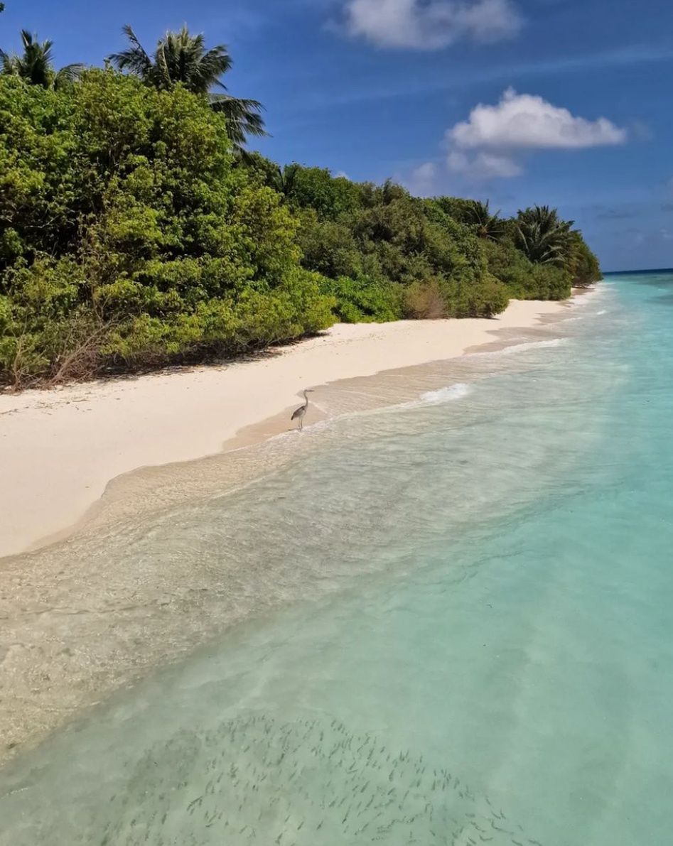 Agnieszka Radwańska relacjonuje rajskie wakacje