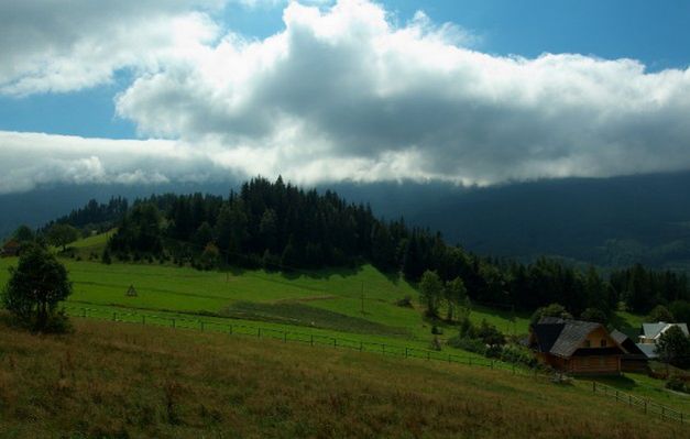 Obraz