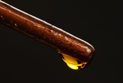Olej rydzowy - wartości odżywcze, właściwości i zastosowanie