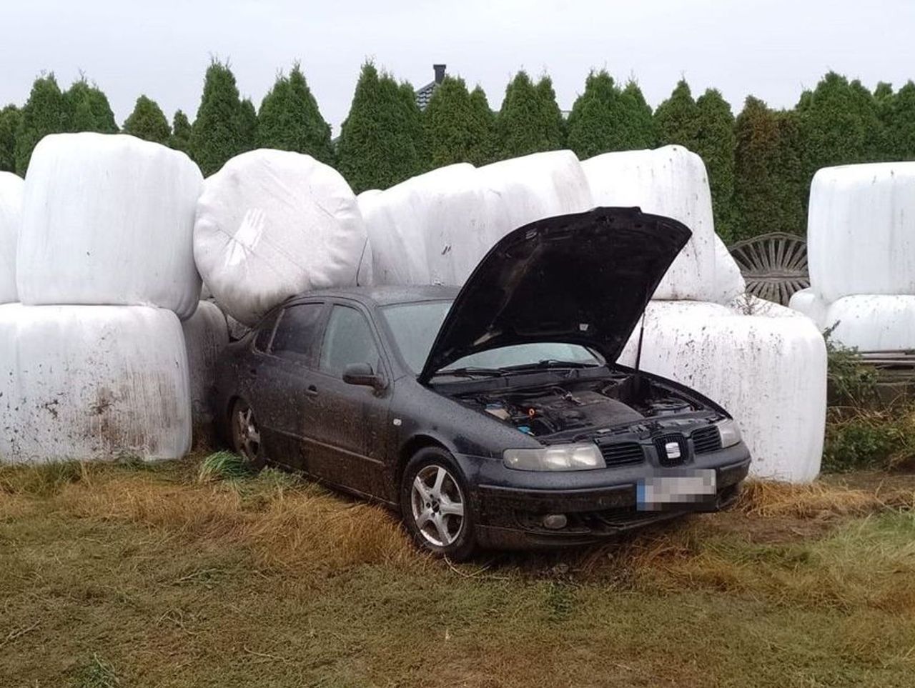 Stok: Seat wypadł z drogi i wylądował w polu na belach kiszonki. Kierowca był pijany i jechał na zakazie
