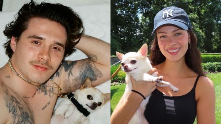 Nicola Peltz chce pozwać firmę groomerską