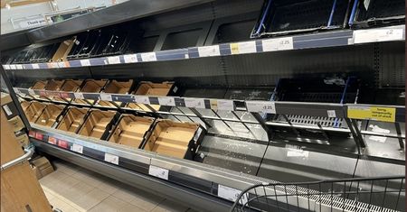 Puste półki na Wyspach. Polacy mówią nam o zaczynającej się panice