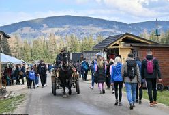 "Przeklinają, wyzywają, grożą". Skandaliczne zachowanie turystów w Tatrach