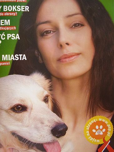 Obraz