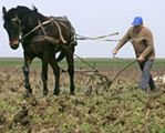 UE grozi obniżeniem dotacji dla rolników z Rumunii