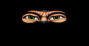 Legenda ostatniego Ninja