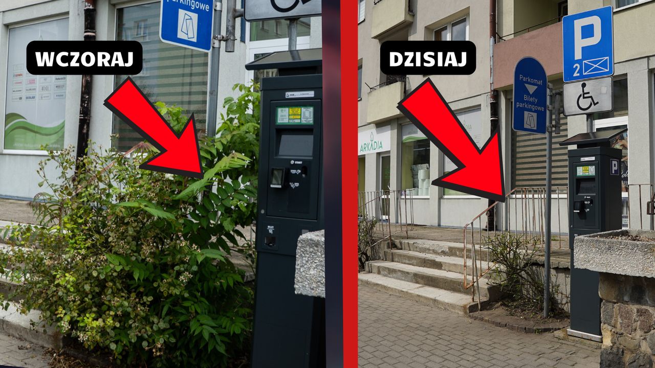 Zarośnięta ulica Spacerowa w Pile doczekała się porządków. Czekamy na więcej!