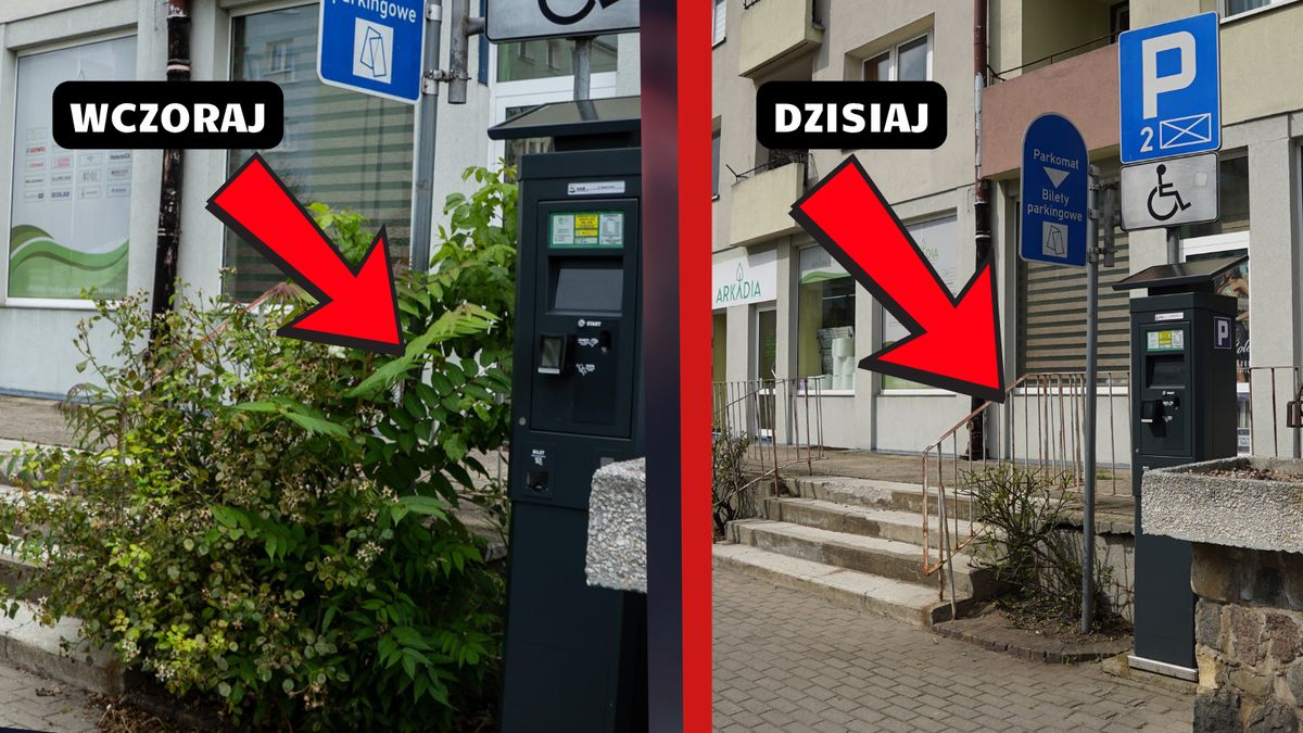 Piła, ul. Spacerowa