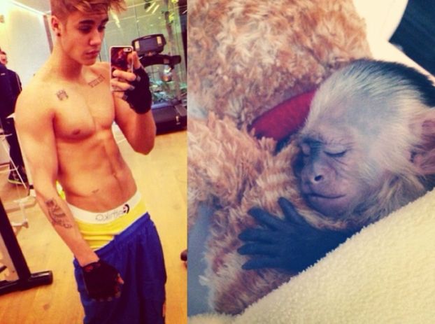 Bieber nie chce już małpki!
