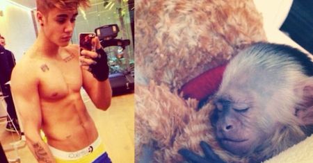 Bieber nie chce już małpki!