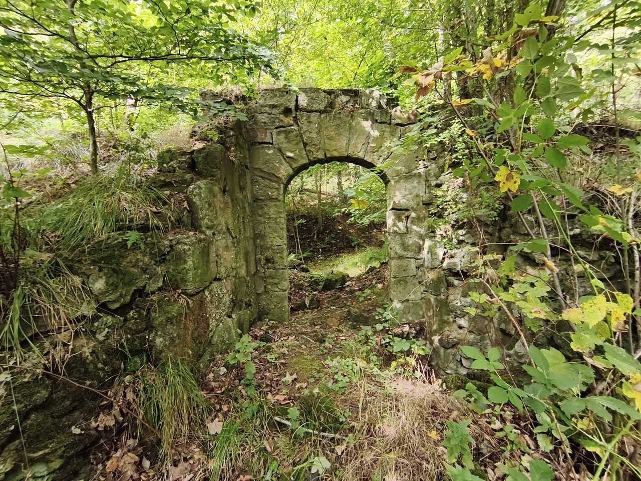 Wałbrzych: Niesamowita ruina i wąwóz w lesie na stoku Lisiego Kamienia. Kiedyś słychać było tu świst kul i wybuchy granatów