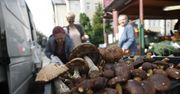 Łódź: Jak kupować grzyby bezpiecznie