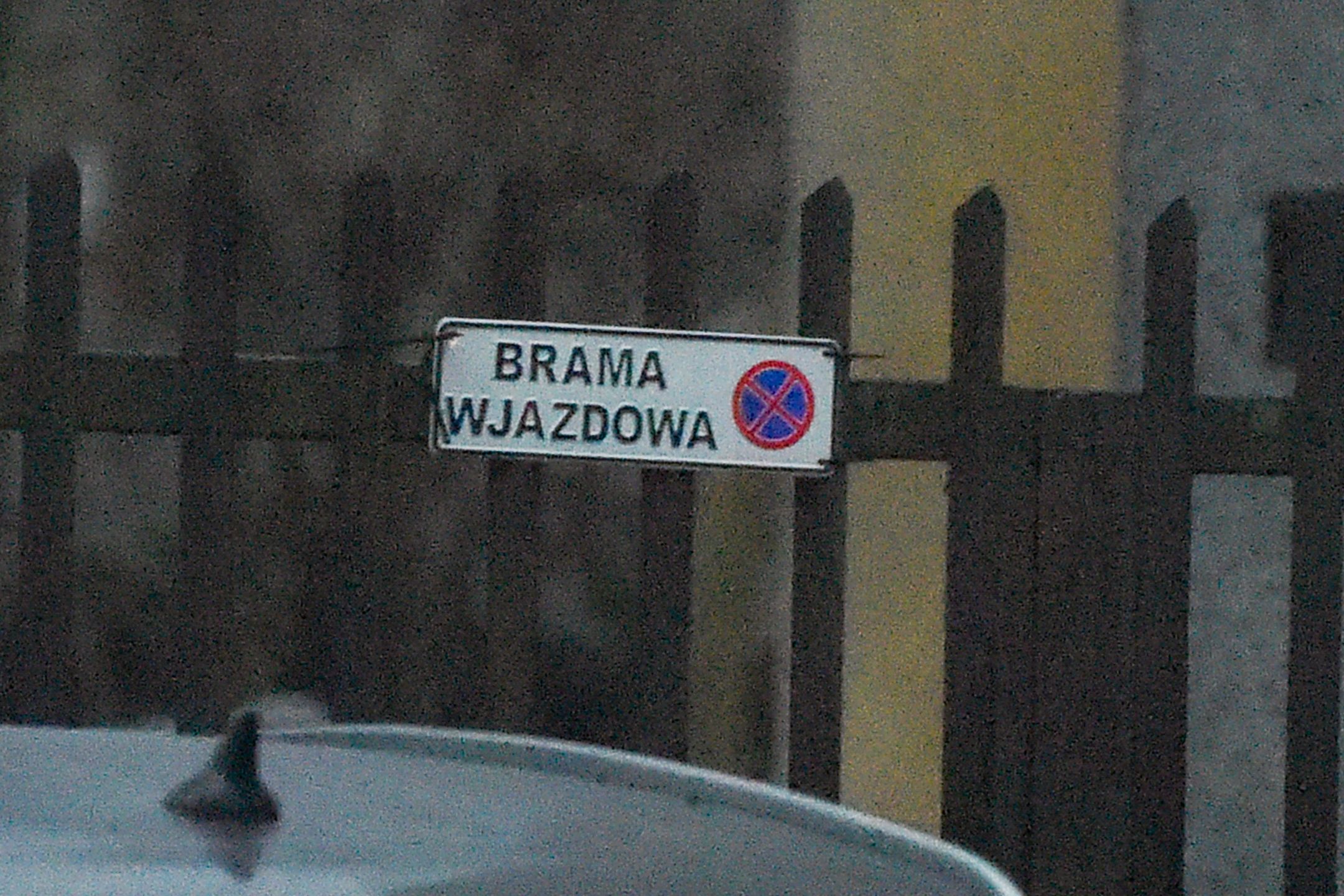 Viola Kołakowska przyłapana na zakupach