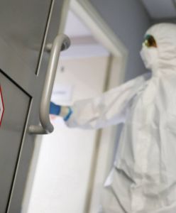 Koronawirus w Polsce. Mazowsze na podium